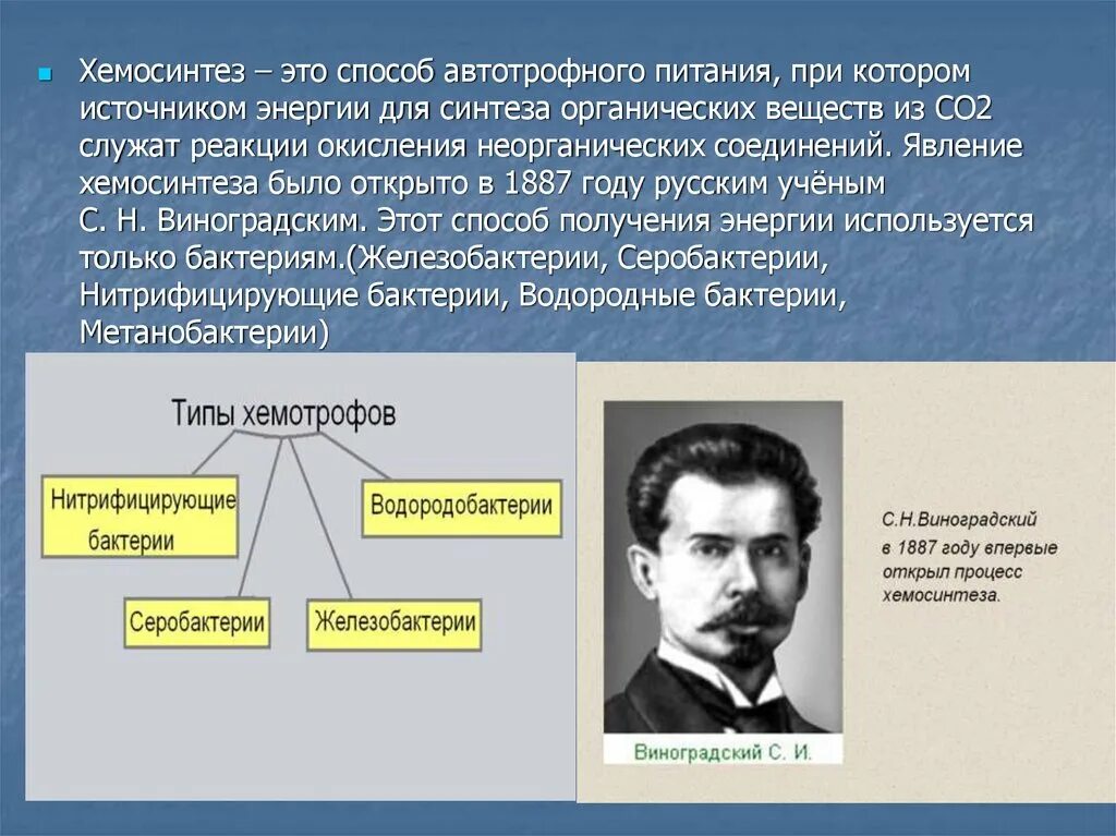 Хемосинтез был открыт в 1887 году. Хемосинтез. Хемосинтез был открыт. Хемосинтез открыт. Хемосинтезирующие бактерии характеризуются