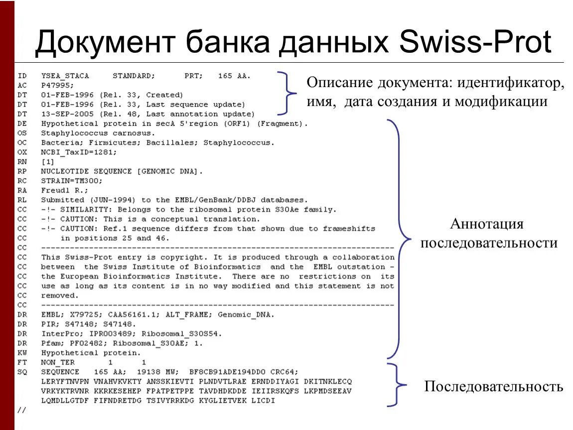 Document description