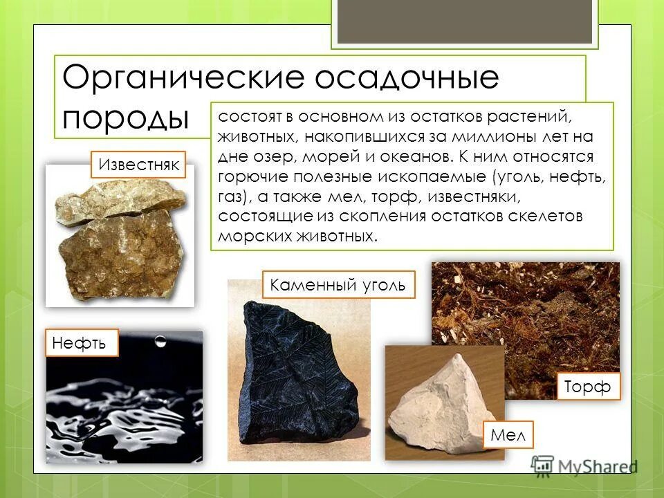 Какие горные породы образовались в результате преобразования. Органические горные породы. Органические осадочные породы. Осадочные породы органического происхождения. Осадочные горные породы полезные ископаемые.