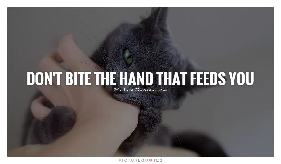 The hand that Feeds you. Don't bite.