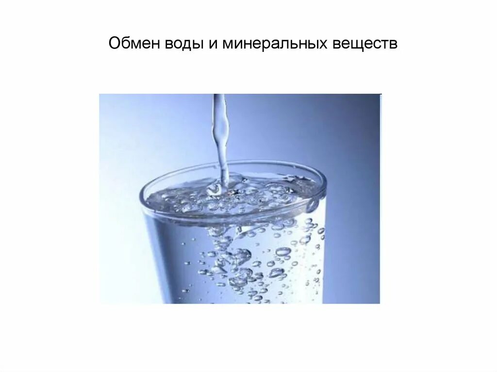 Роль и обмен воды. Обмен Минеральных веществ в организме человека схема. Обмен воды и Минеральных веществ схема. Обмен воды в организме схема. Обмен воды и Минеральных веществ в организме человека.