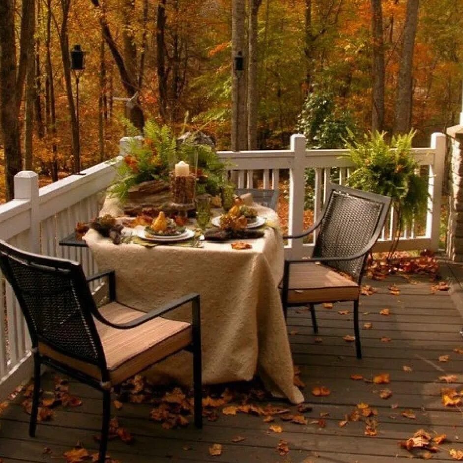 листьев и веранда. живопись станислав юлианович жуковский осень. вечерние рендеры терраса. жуковский станислав юдианович осен. виктор эмильевич брагинский.