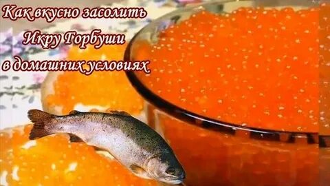 Как правильно засолить икру рыбы форель