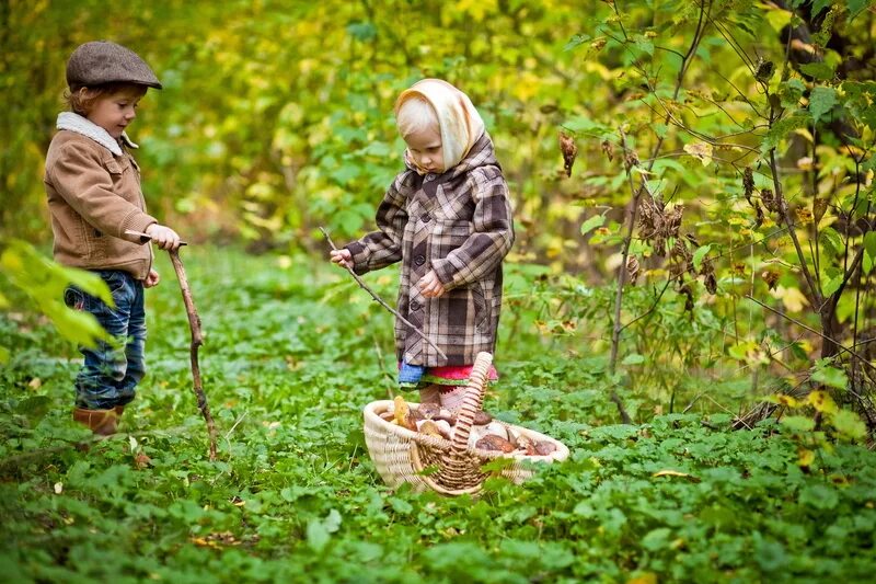 Мальчик в лесу с корзинкой. Дети собирают грибы в лесу. Собирать ягоды. Дети с корзинками в лесу.