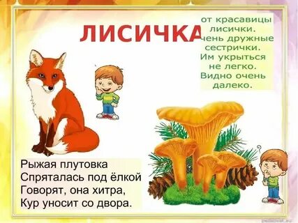 Плутовка это для детей 1 класс