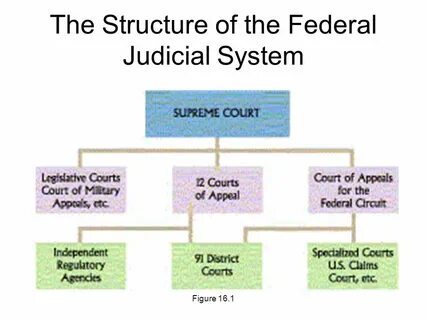Judicial system