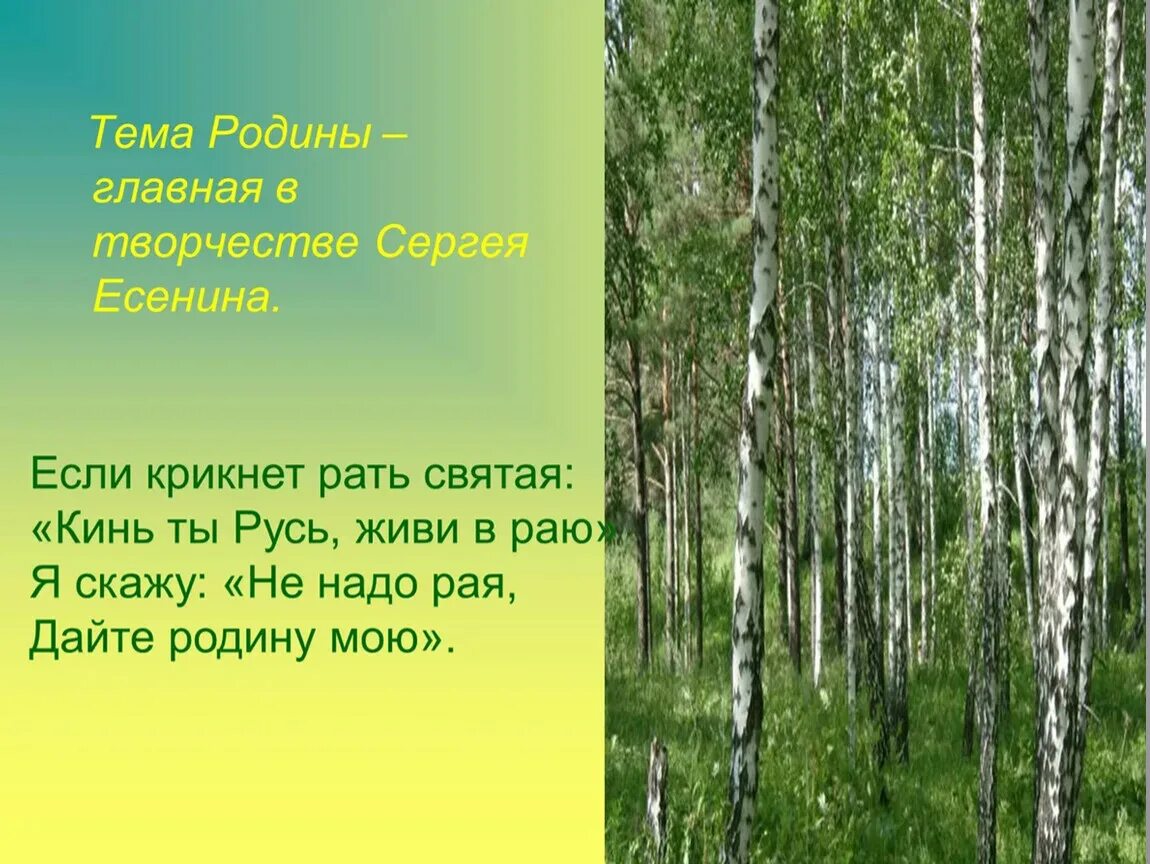 Если крикнет рать Святая. Главная тема Родины. Есенин кинь ты Русь живи в раю. Если крикнет рать Святая кинь ты Русь живи в раю.