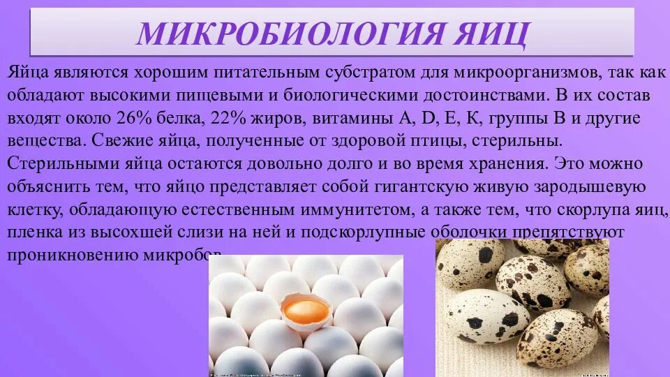 Микрофлора яиц и яичных продуктов. Микробиология яичных продуктов. Микробиология яиц. Микробиология яйца и яичные продукты. Перепелиные сальмонеллез