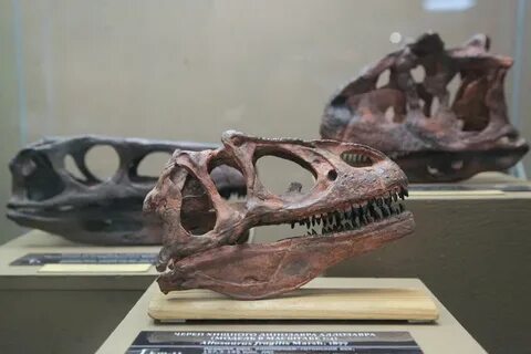 История рт 7