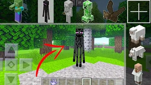 Metamorph 1.16