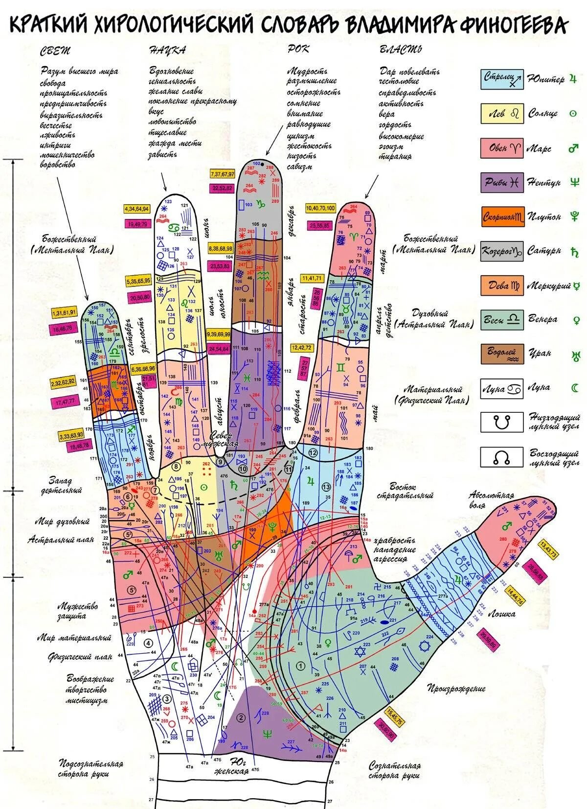 Пальцы в хиромантии. Правая рука линии хиромантия. Карта руки Финогеева хиромантия. Линии правой руки расшифровка. Хиромантия линии сбоку ладони.