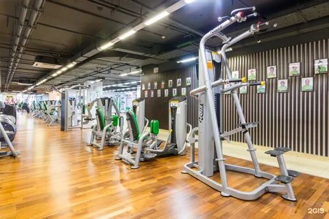 Xfit василисы кожиной