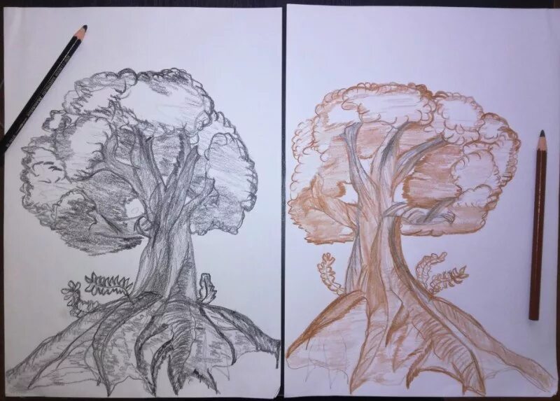 Рисунок дерева 6 класс изо. Дерево карандашом. дерево рисунок карандашом. доброе и злое дерево рисунок. злое ми доброке дерево.