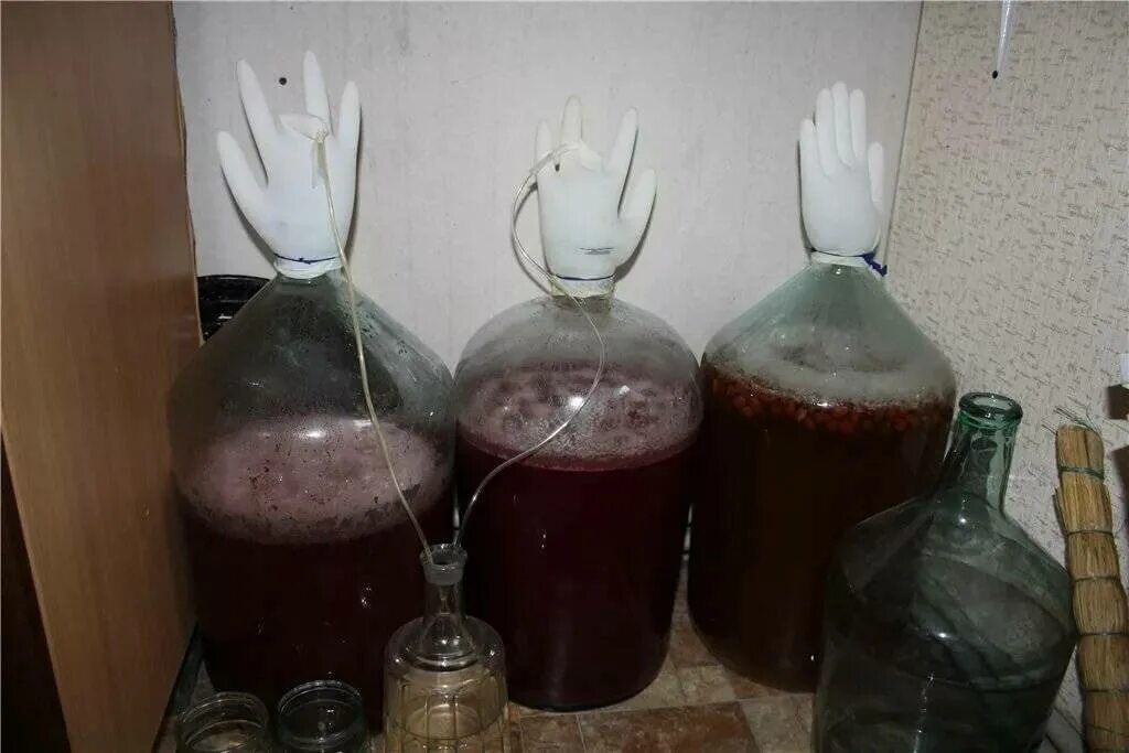 Machari Wine recipes, Grape wine recipe, Wine making recipes
