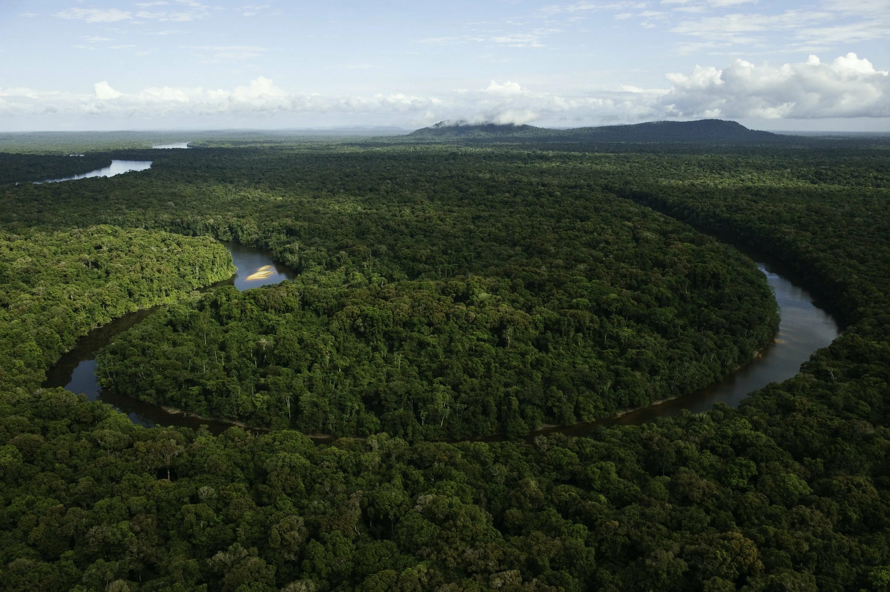 Амазония видео. Национальный парк амазония. Южная америка река парана. Тропические леса амазонки в бразилии. Долина джавари бразилия.