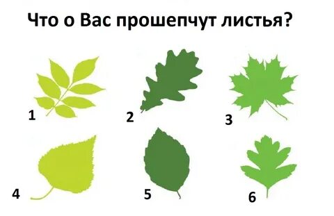 Выбрать лист