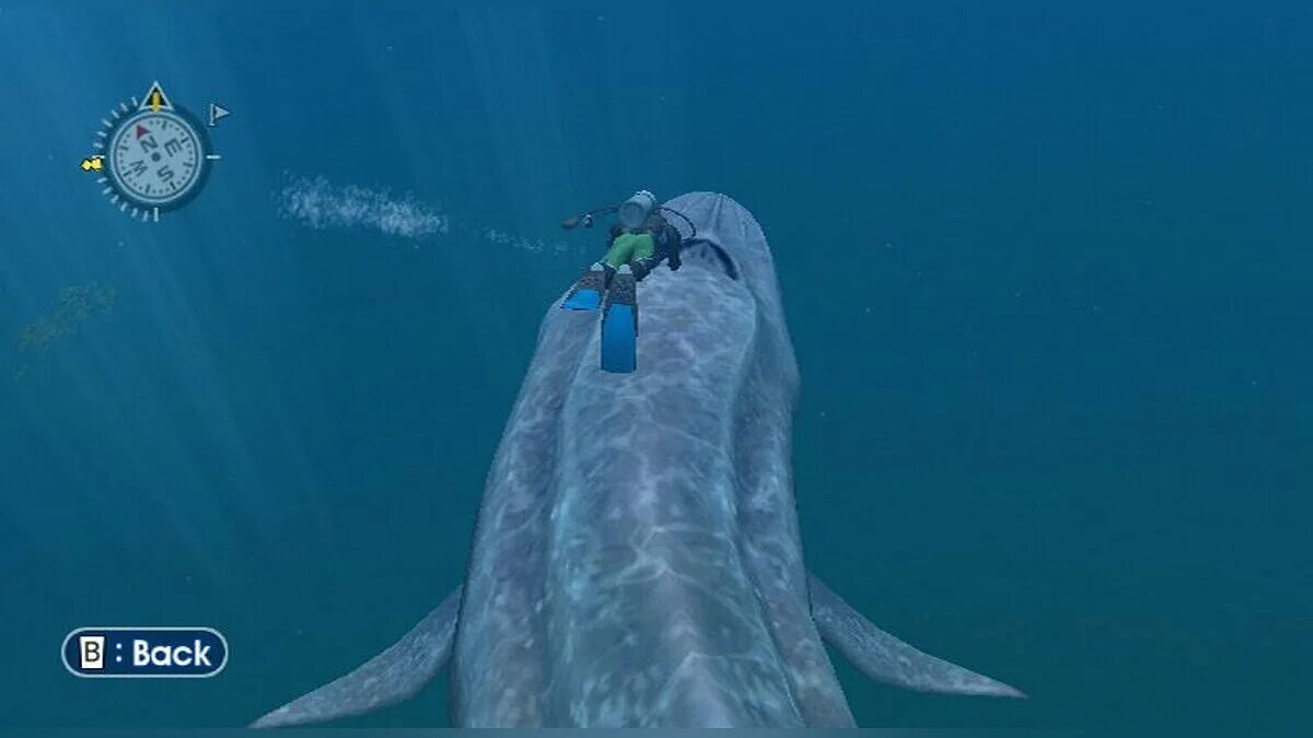 Endless ocean aquatic adventures. Endless ocean игра. endless ocean 2. endless sea игра. endless ocean wii.