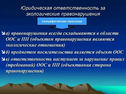 Имущественная ответственность за экологические правонарушения