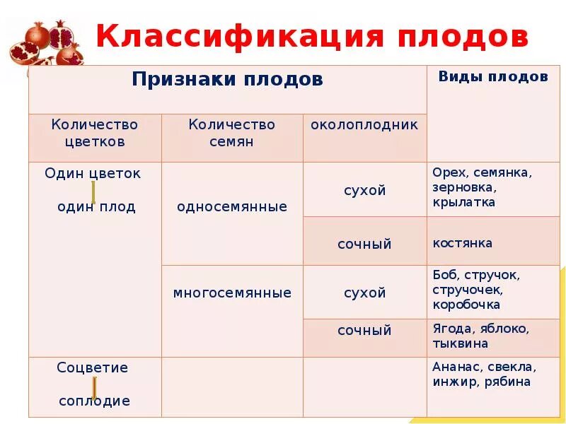 Признаки плодов