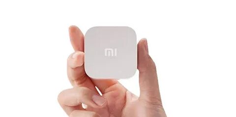 Mini user