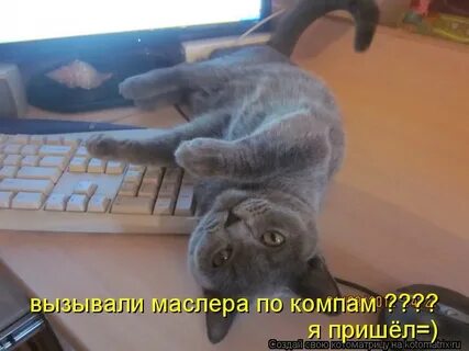 Где хочу там и хожу