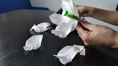 Поставь лилии