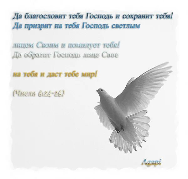 Господь сохранит песня. Христианские поздравления. Христианские пожелания. Христианские пожелания на день. Христианские поздравления с днём рождения.