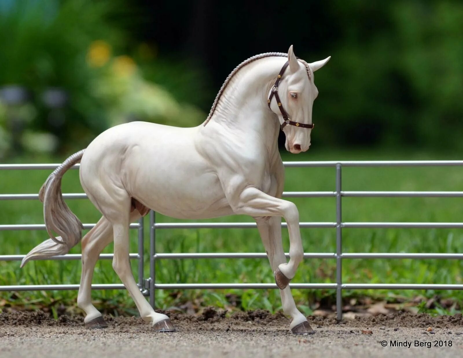 Липицианская лошадь. Липицианская порода лошадей. Лошади брейер Андалузская. Липицианская лошадь порода лошадей. Липпицианская лошадь брейер.