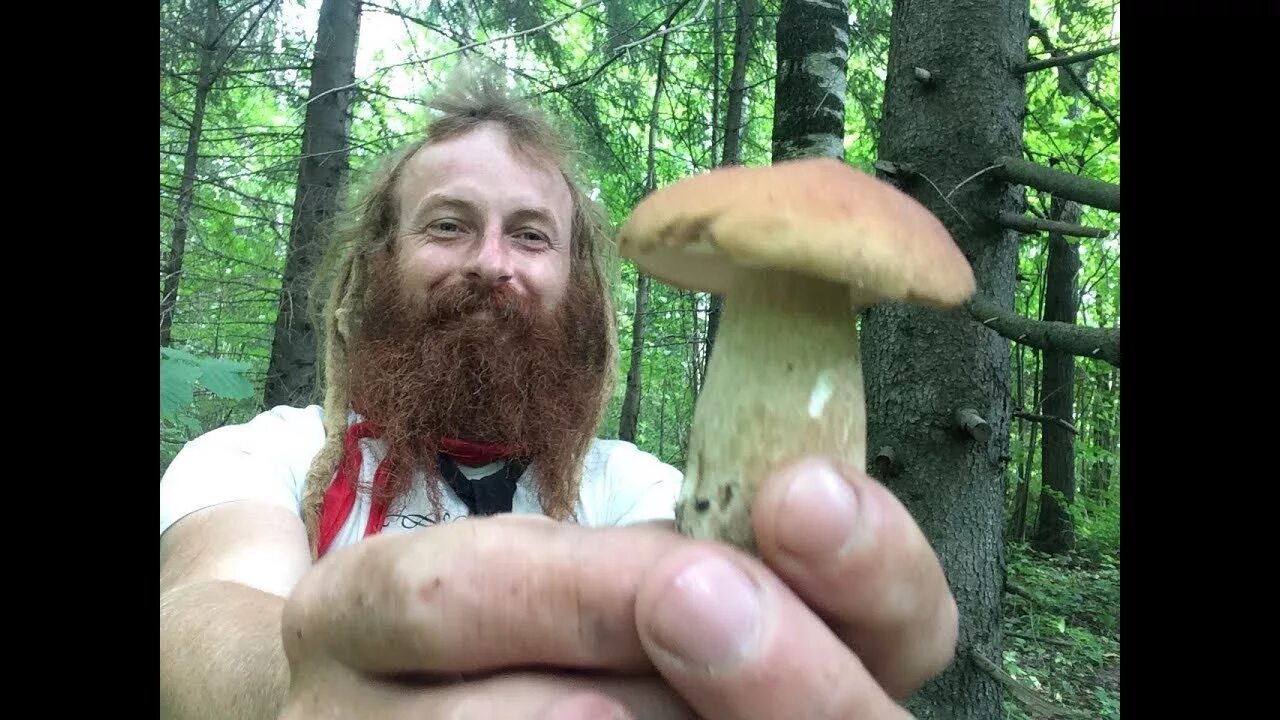 Царь пришел к отшельнику чтобы получить какое