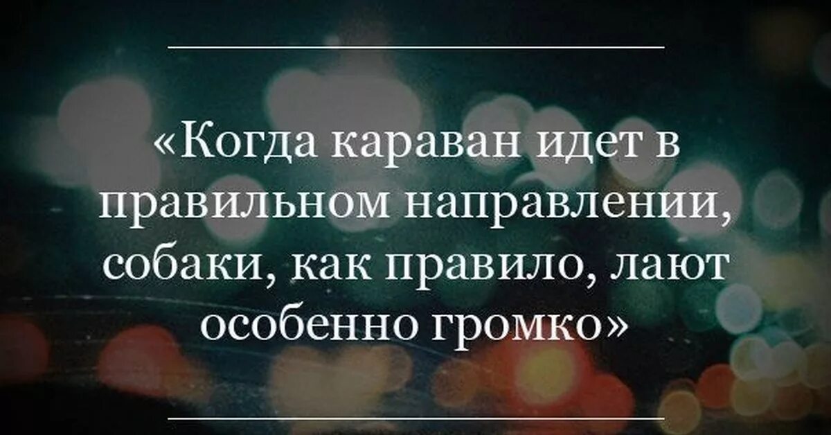Выражение караван идет. Каравай идет а собаки лают. собаки лают караван идет. сабаки лаят корован мдкт. собаки воют корован идет.