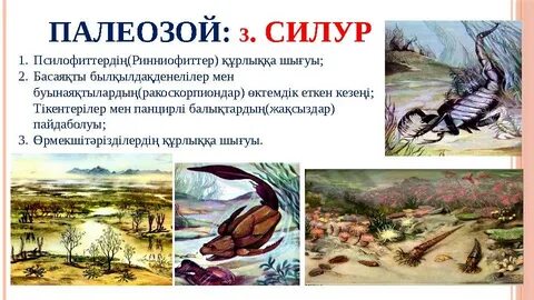 Порно видео шыдамдылық