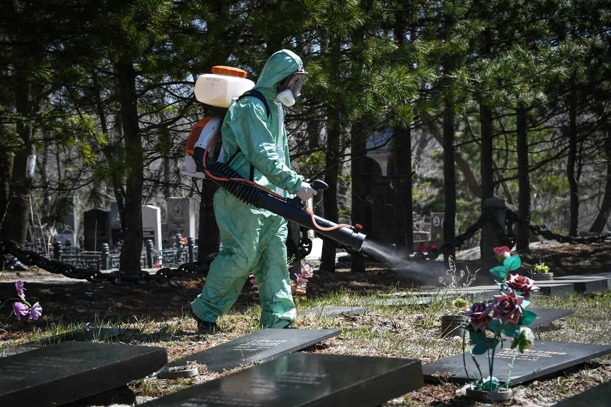 Сво клещеевка на сегодня. Морское кладбище Владивосток. Лесное кладбище Владивосток. Акарицидная обработка кладбища от клещей. Акарицидная обработка кладбищ.