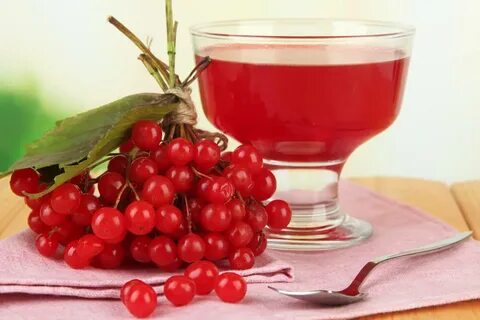 Калина настойка польза