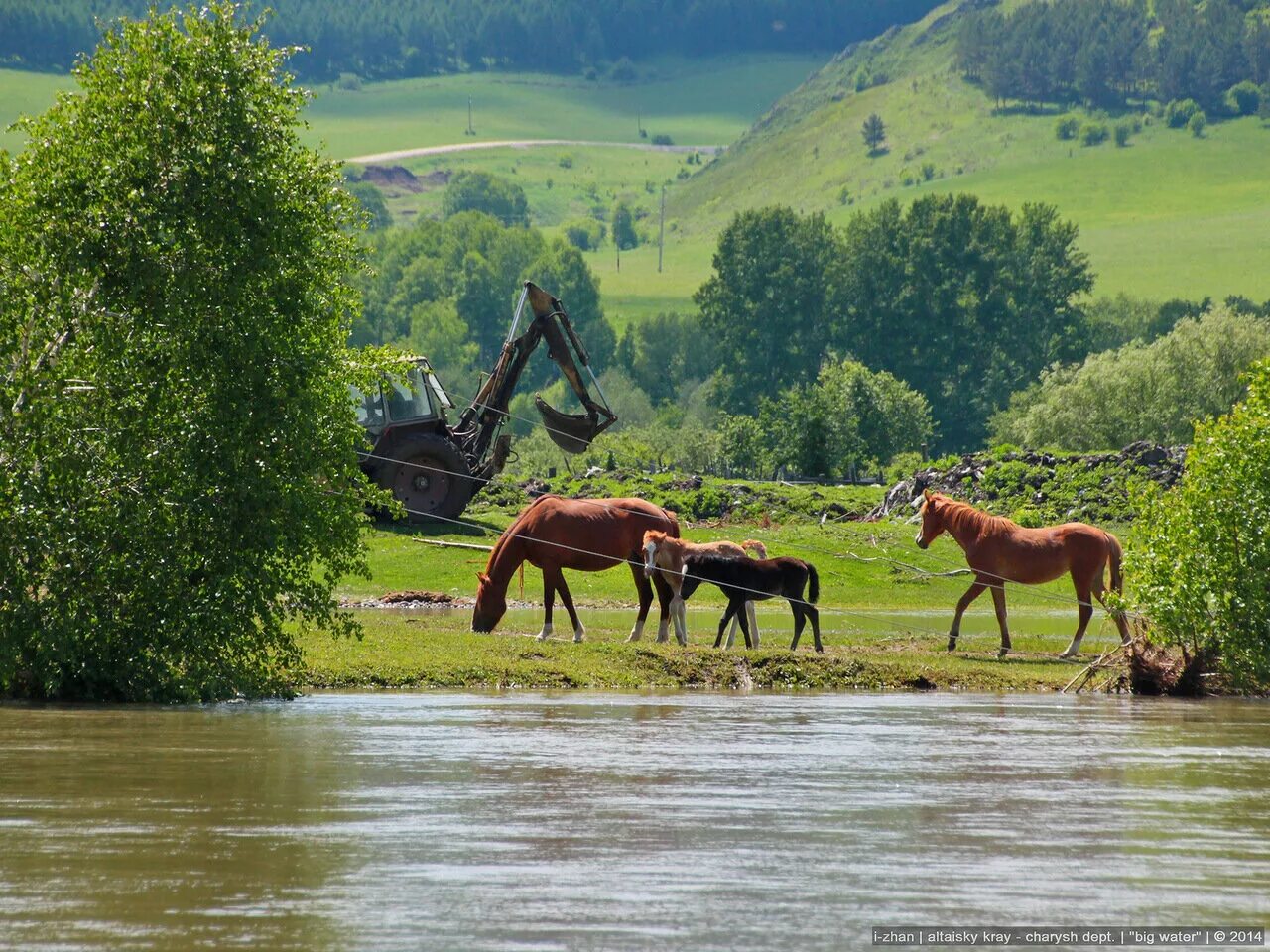 Село малый бащелак чарышского района алтайского края. Село машенка алтайский край чарышский район. Малый бащелак алтайский край. Горный чарыш сентелек. Река сентелек чарышского района.
