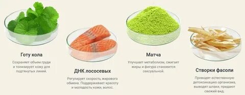 Что едят для сжигания жира