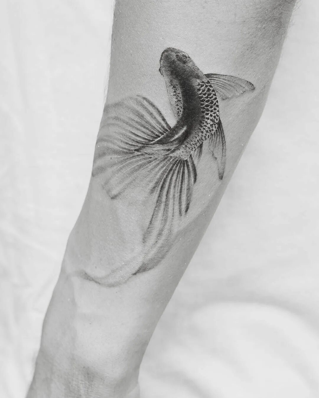 тату рыбки. красивая рыбка тату. тату рыбы. красивая рыбка тату. идеи тату рыбы.