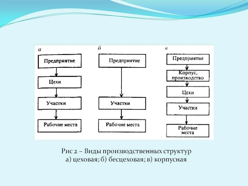 Характеристика элементов структуры организации. Элементы производственной структуры предприятия. производственно-технологическая структура предприятия. технологическая структура предприятия схема. производственная структура предприятия схема.