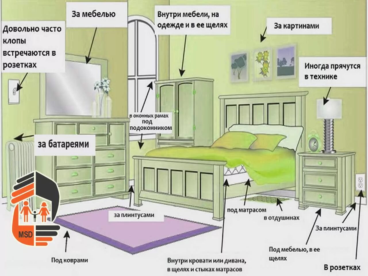 Сколько можно жить в квартире. Где живут клопы в квартире. Где прячутся клопы в квартире.