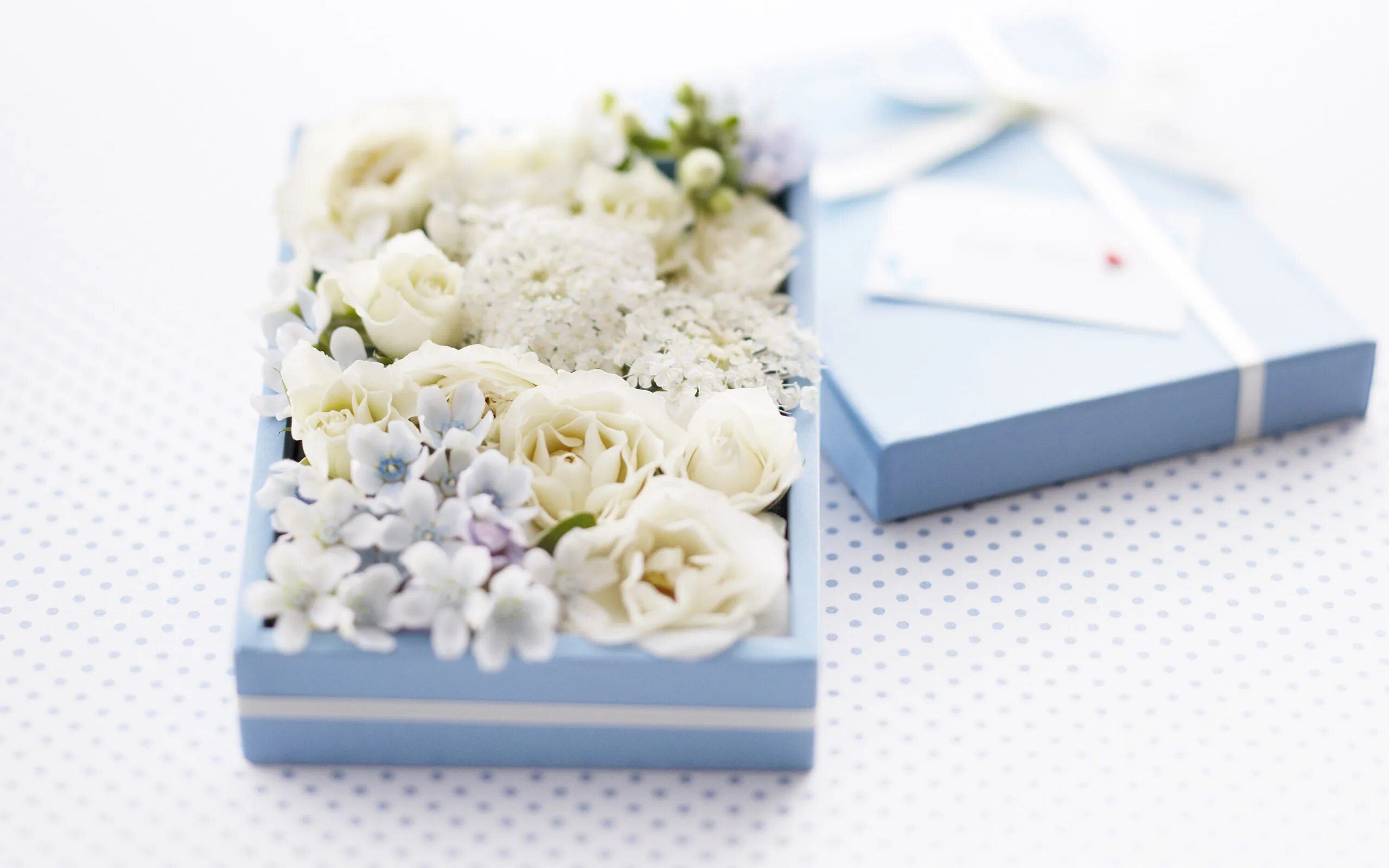 Подарки белого цвета. Цветы в подарок. Цветы в коробке. Цветы в подарочной коробке. Коробки с цветами.