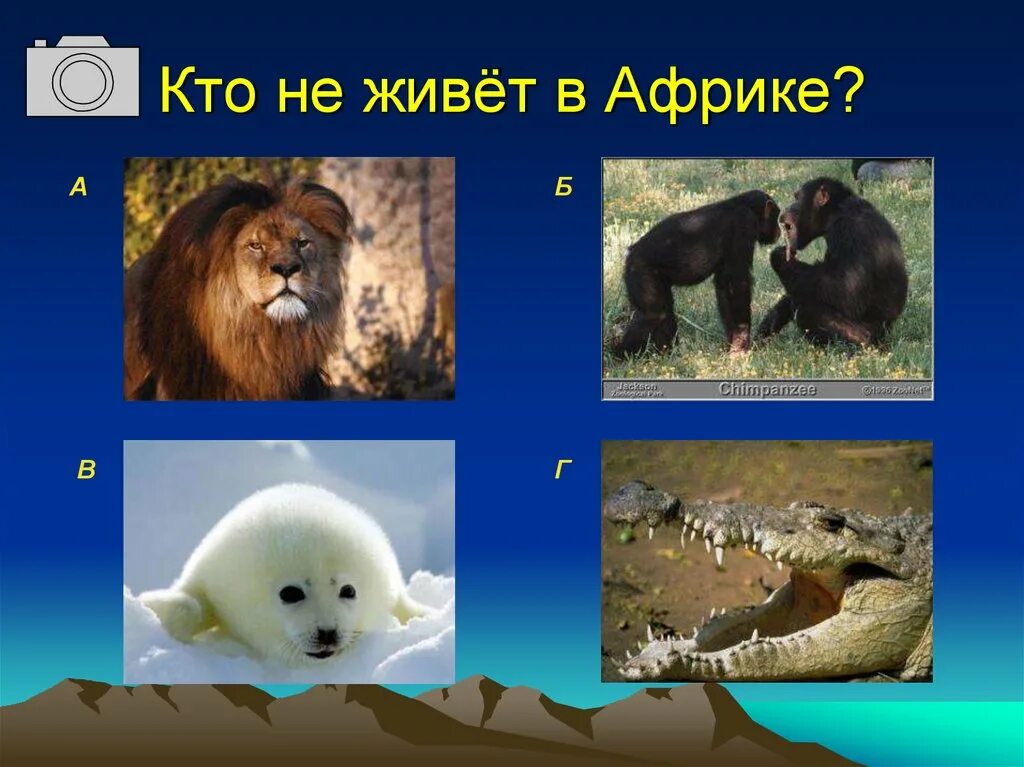 Какие животные обитают в африке 4 класс. Кто живет в африке. кто обитает в африке. какие животные живут в африке. животные которые обитают в африке.