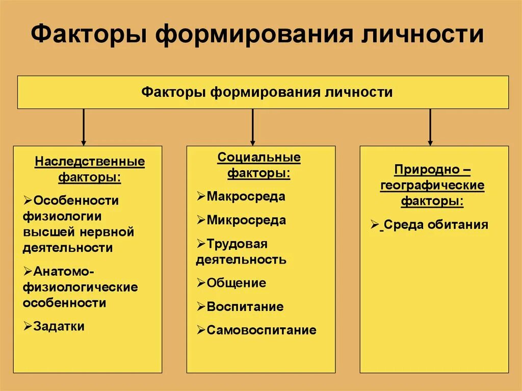 Условия и факторы различия. Факторы формирования личности. Проанализируйте факторы формирования и развития личности.. Перечислите факторы формирования личности. Факторы формирования личности в психологии.