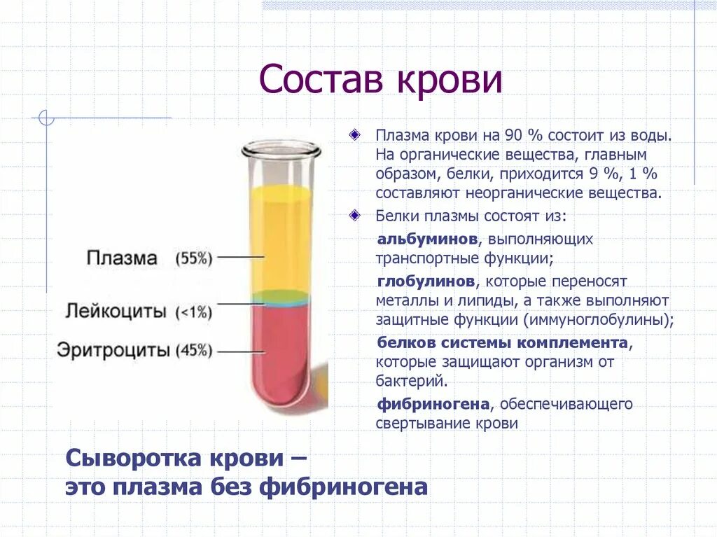 Компоненты сыворотки крови