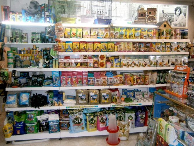 Зоомагазин на первомайской. Зоомагазин на первомайской