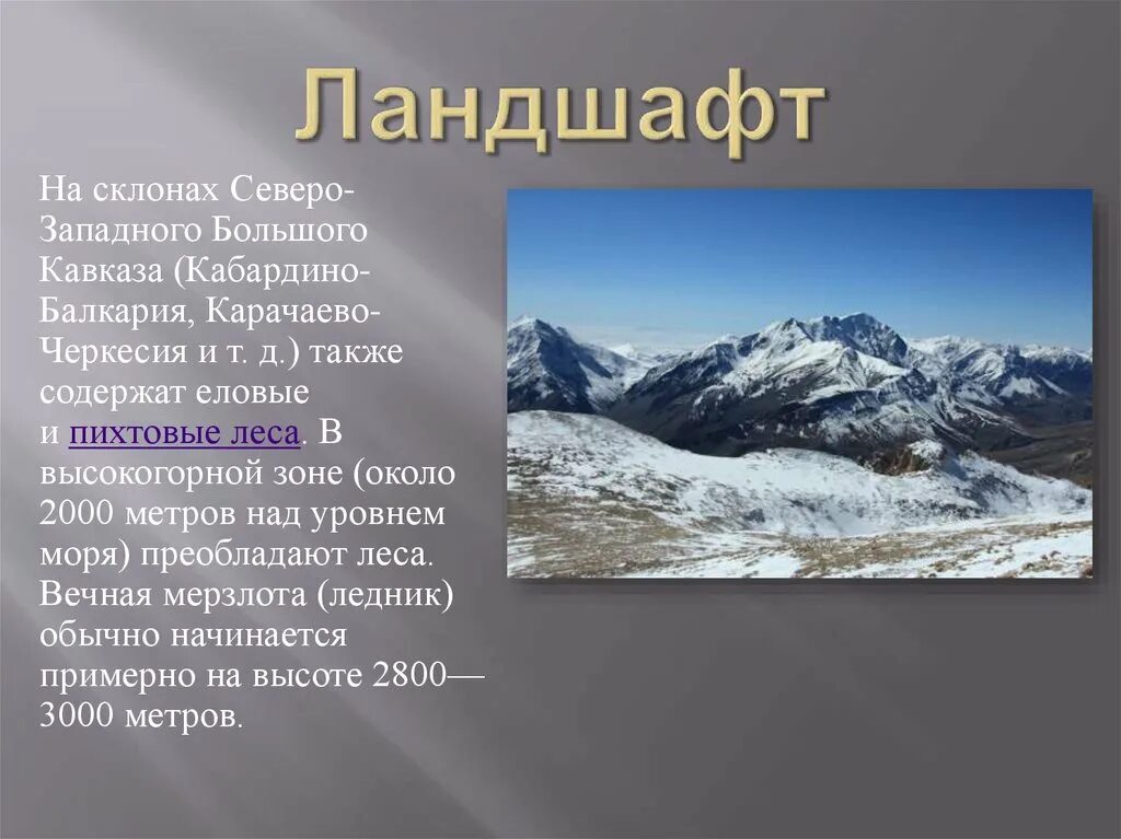 Преобладающие высоты горной системы кавказ. Кавказ самые высокие горы России презентация 8 класс география. Самая высокая Кавказская гора. Кавказ самые высокие горы России 8 класс. Самые высокие горы России кавказские горы Уральские.