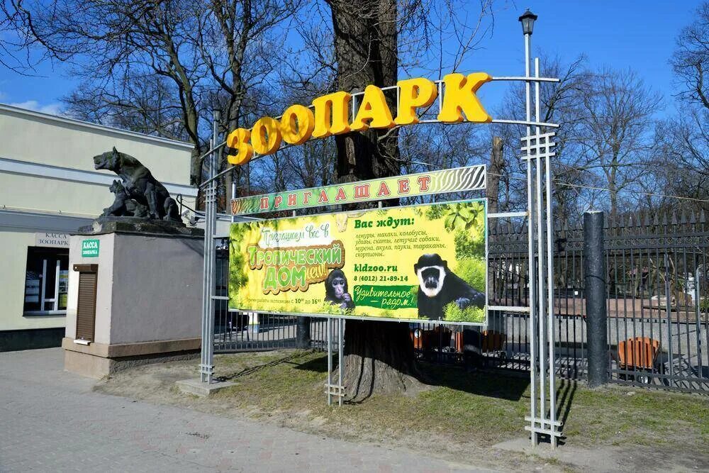 Калининград музей зоопарк. Калининград зоопарк где. Калининградский зоопарк достопримечательности калининграда. Зоопарк калининград путеводитель. Калининград музей зоопарк.