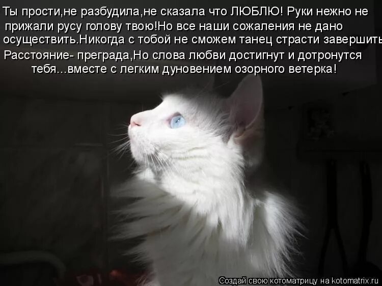 Смешные до слез. Самый лучший будильник это дети. Смешное фото до слёз. Утренний кот мем. Разбуди внутреннего зверя мем.