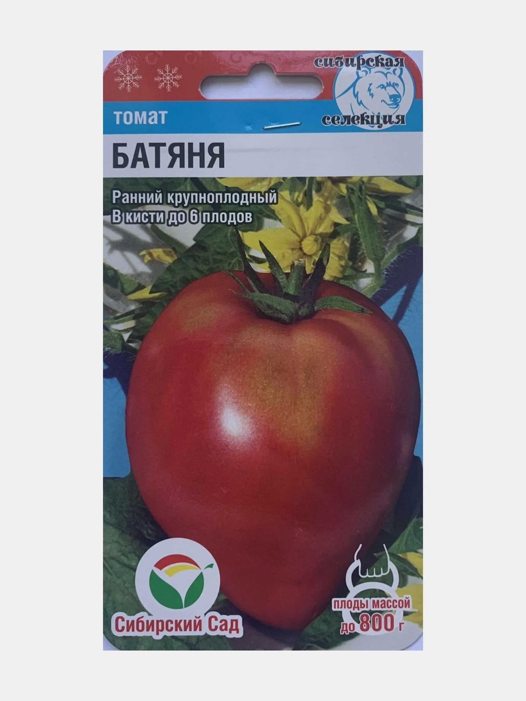 томат батяня сибирская селекция. томаты розовые батяня. томат батяня фото. семена томат батяня. сорт томата батяня описание и отзывы.