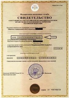Налоговая юридического лица спб