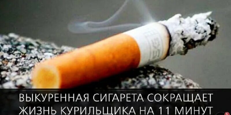 Выкуренная сигарета. Интересные факты о курении.