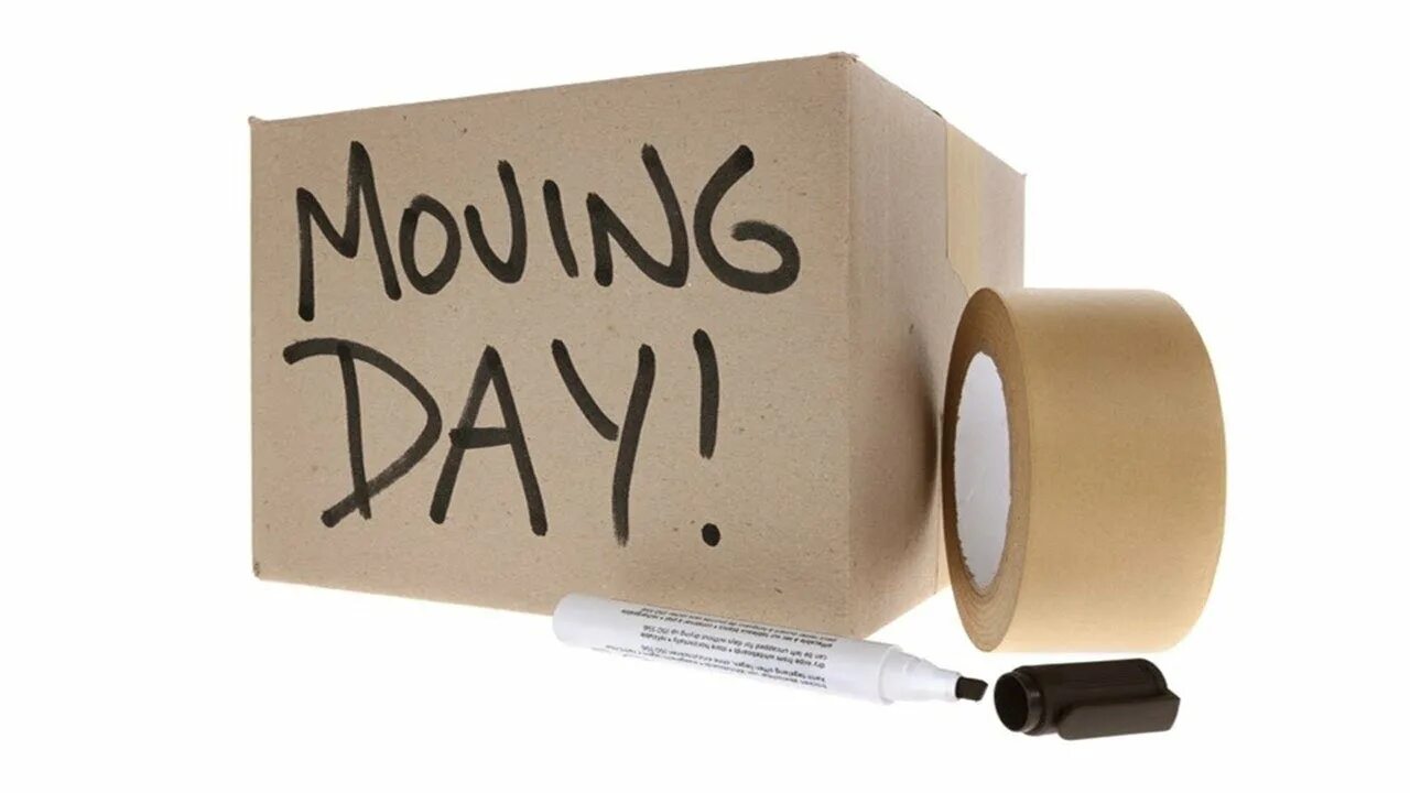 Removing day. Moving Day. Moving Day игра. Brilliant move. Moving static.